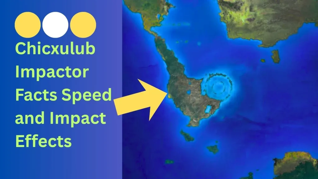 Chicxulub Impactor